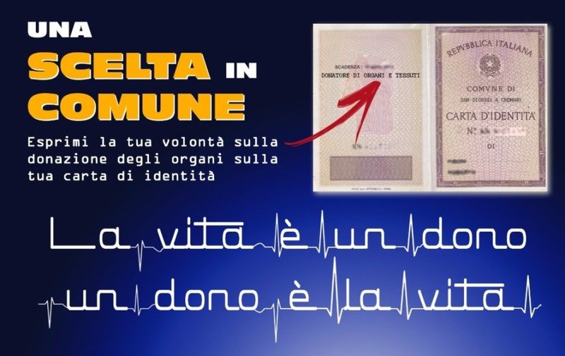 Donazione Organi Con Carta D Identita San Giorgio C E Lo Strillone