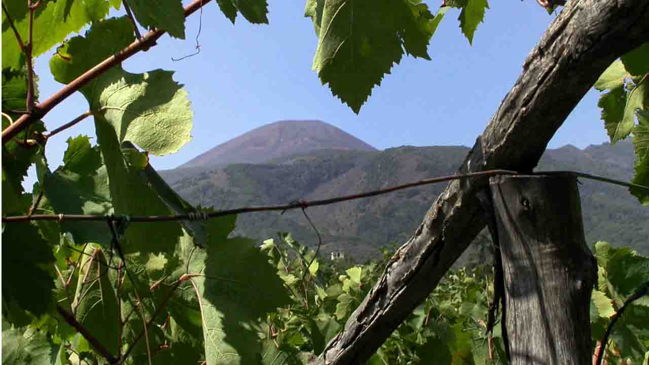 lachrima christi, il vesuvio brucia