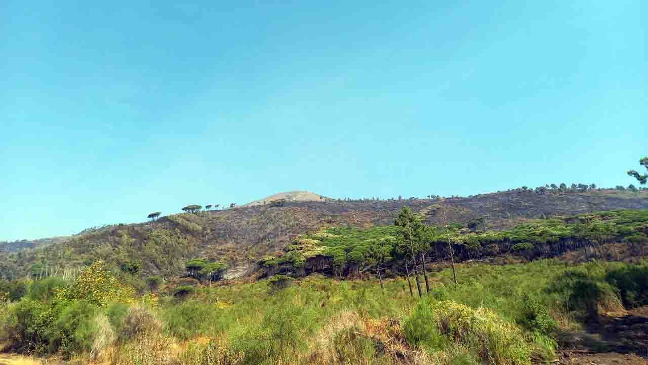 il vesuvio brucia
